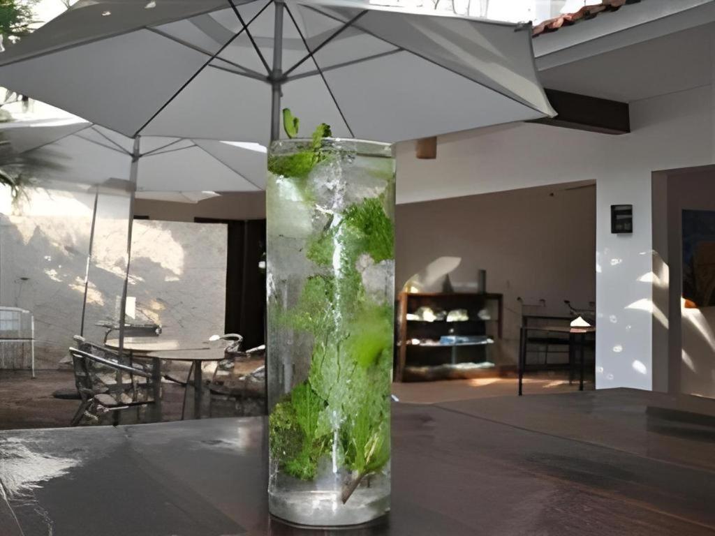 火烈鸟酒店 科苏梅尔 外观 照片